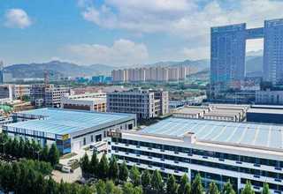 海南牵牛花花种