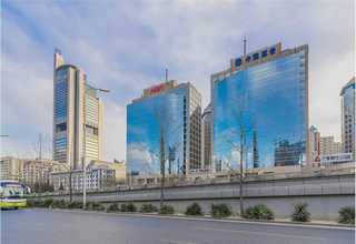 福建球场人造草厂家