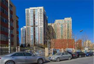 云南中型臭氧水处理系统