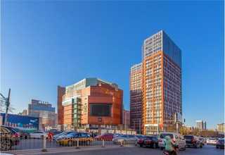 桃树树苗厂家供应